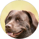 Tucker Billimek profile picture