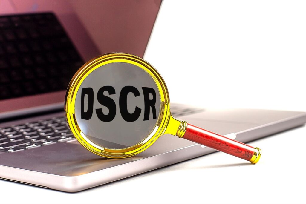 DSCR on magnifier on laptop
